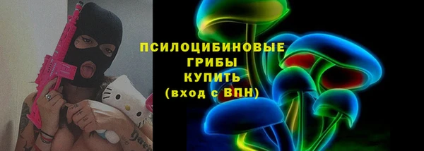 ГАЛЛЮЦИНОГЕННЫЕ ГРИБЫ Абдулино