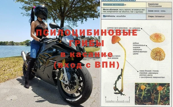 ГАЛЛЮЦИНОГЕННЫЕ ГРИБЫ Абдулино