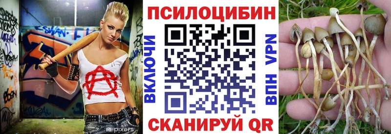как найти наркотики  Ковров  Галлюциногенные грибы прущие грибы 