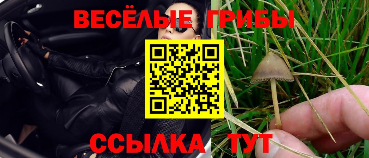 Галлюциногенные грибы Magic Shrooms Ковров
